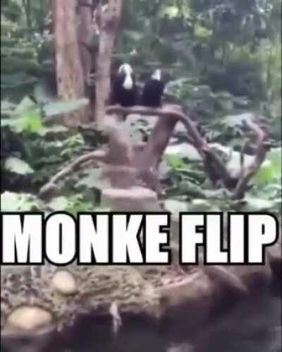 Monke