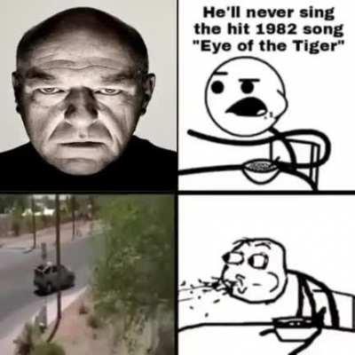 walt looks i'm stalone