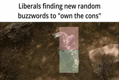 We really got 'em this time (x200)