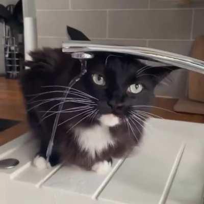 Why am I still thirsty..?