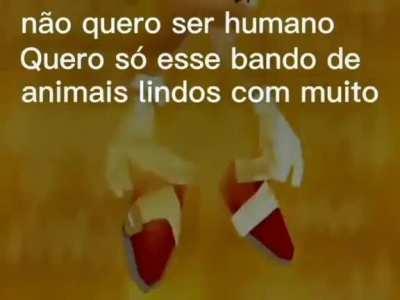 Orochisegundo - Video #3233