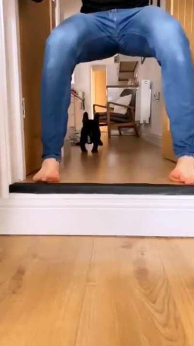 Wait did you just stop, woaaahhhh...