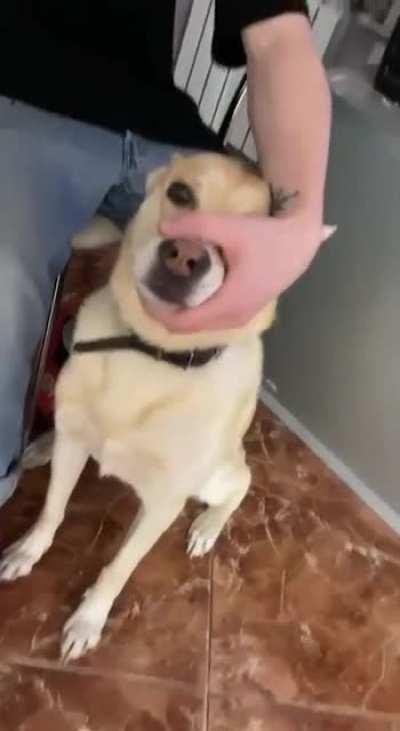 В целом поёт не хуже