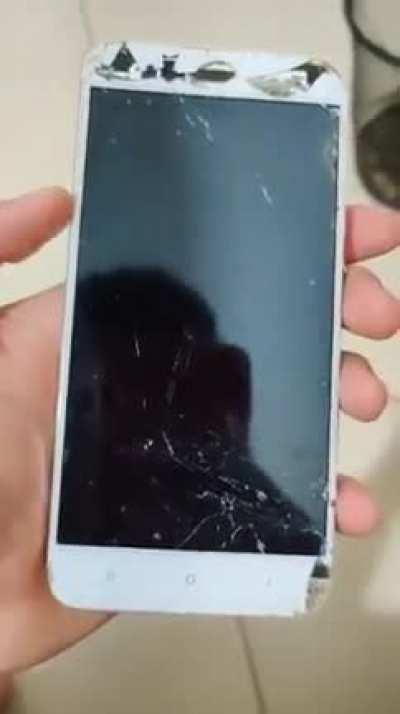 Around the World (Daft Punk/RHCP)