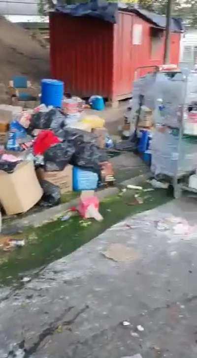 Cops stepped in by slashing tires and breaking windscreens. Look at all that potential loot.