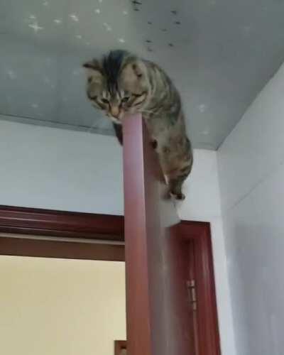 Couldn't Find A Better Place To Sleep