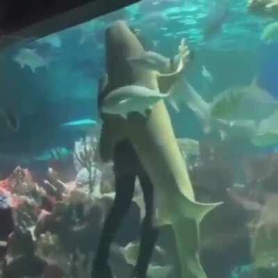 uh fuck genre: funk maybe, bro idk I just want this song