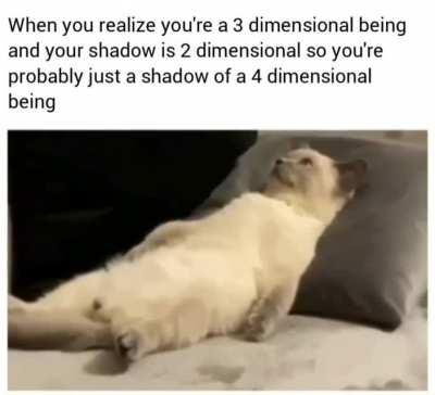 Maybe I am a simulation