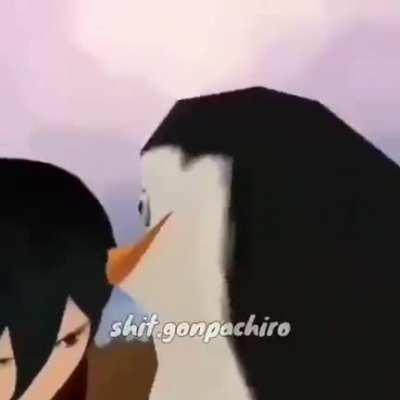 Pinguino