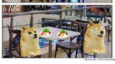 Le 4 panel comic has arrived