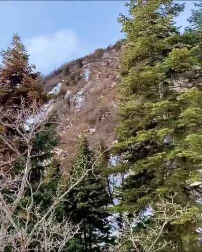 Imagine if he didn't noticed it