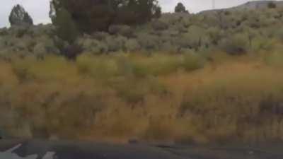 [USA] Wrong way driver gets in Oregon State Trooper’s lane.