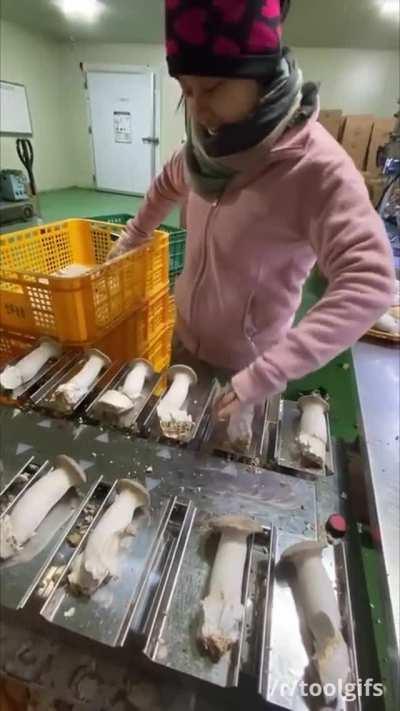 How food items of mixed weight (e.g. king trumpet mushrooms) are packed using combination scale