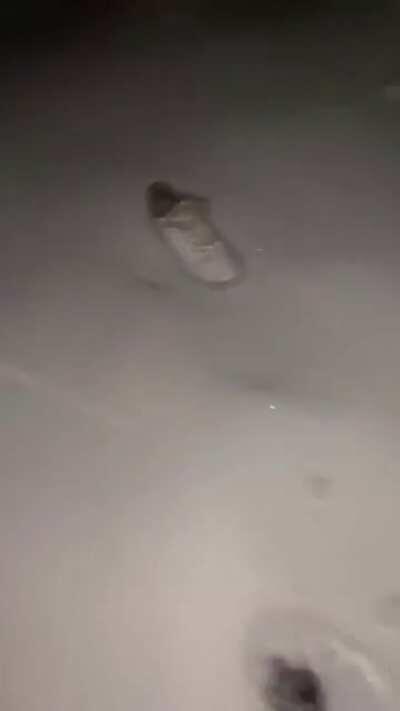 The shoe just up and left like nothing happened.