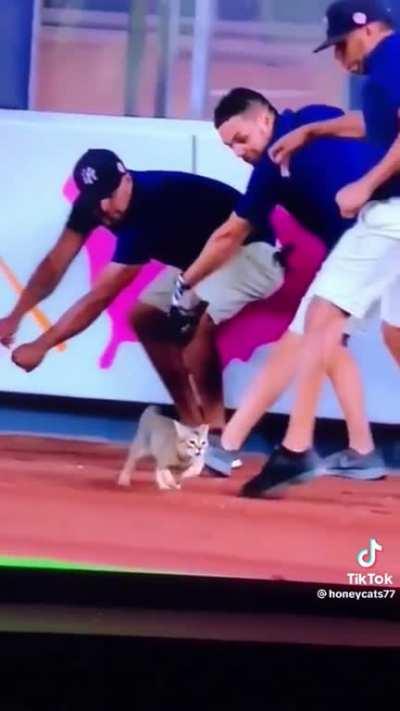 The camera man always wanted to do wildlife photography rather than sports