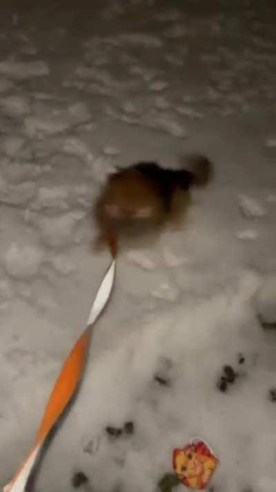 This is what happens when we walk on snow… (sound on!!)