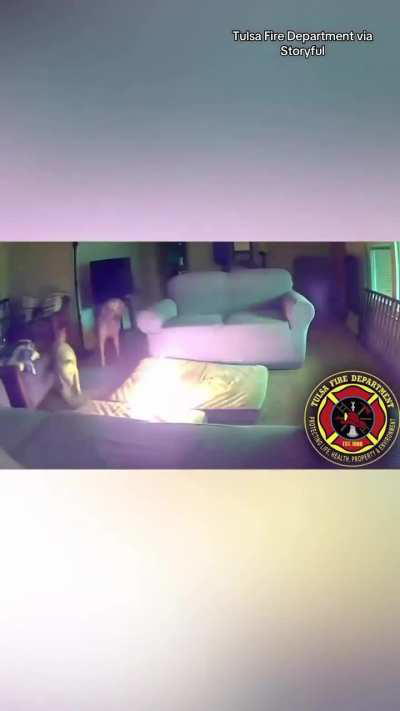 A dog in Oklahoma unintentionally started a house fire after chewing on a lithium-ion battery. The fire was put out by the fire department and all the pets escaped the burning home through a dog door while their owners were sleeping.