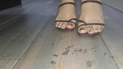 Pillbugs massacre 👡💕