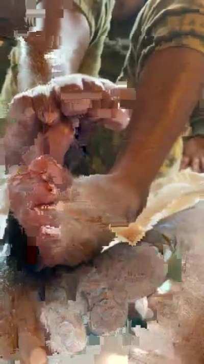 The Sexy Mestiza gives a FJ. **Requested**