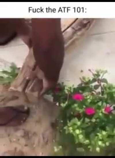 Hiding in plain sight