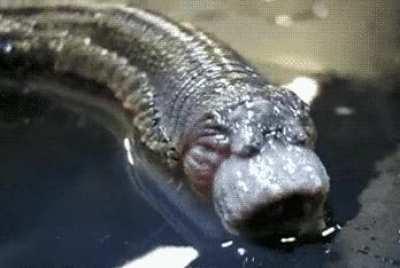 My Face When I Face My Why