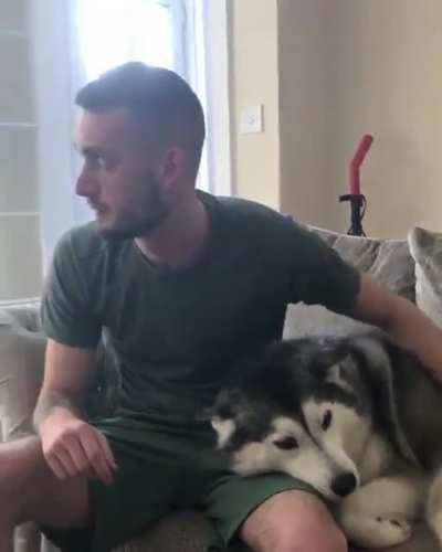 Rumour has it that he's married to his dog