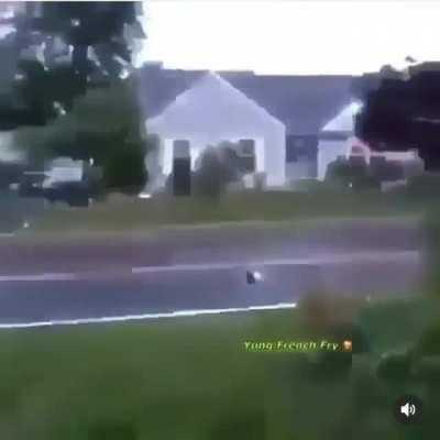 Alerta está saturado