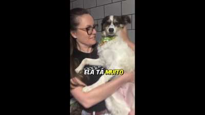 A perfectly cut(e) video :D