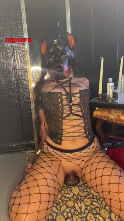 🐾✨🐶pretty lil breeding bitch panting in cummy bliss as her tight puppy hole gets filled up with a fat knotted cock🥩🦴🪢✨