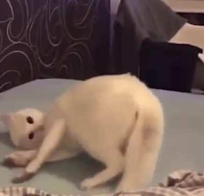 When the third gummy hits