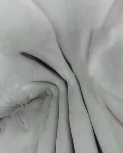 🔥Getting swallowed by a shark is like, well...🔥