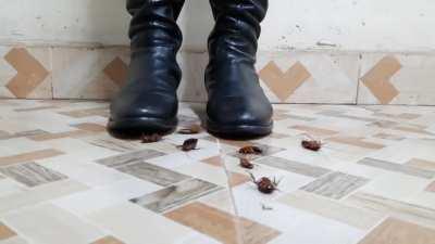 I can't wait for Wednesday! 🦞 