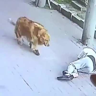 Thought this belonged here