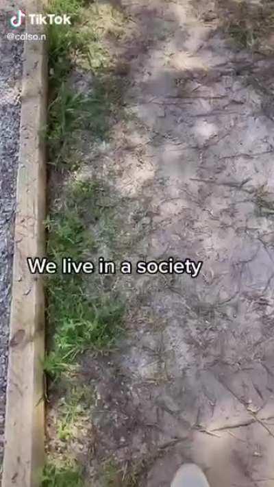 Egregious path design at UNCW