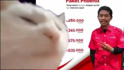 Yo y los cabros luedo de ser troleados al ver una mona china. (Ya lo subi donde el moai pero el qlo no lo vio xd)