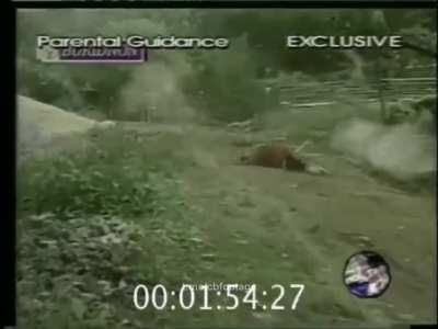 16 cult members decide to charge with swords at a paramilitary equipped with combat rifles. It doesn't work. (Bukidnon, Philippines. circa 2000)