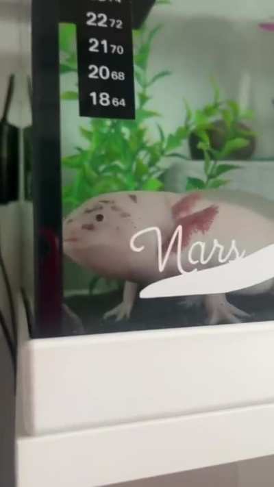 Marzy boy 🫶🏼🩵🪱