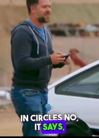 This has got to be the funniest thing.