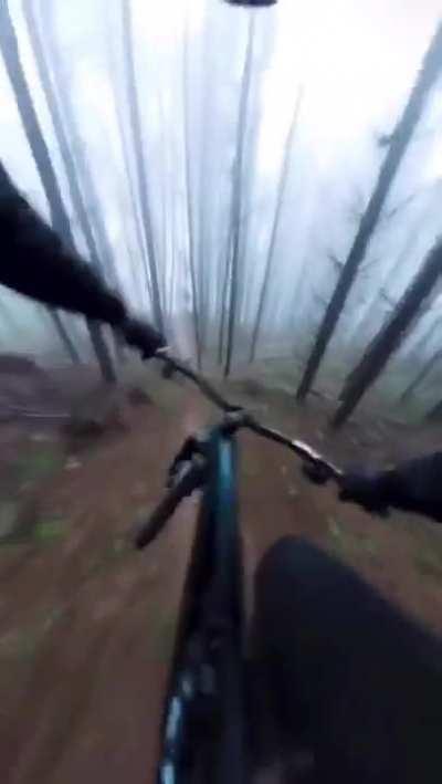 Downhill in the woods