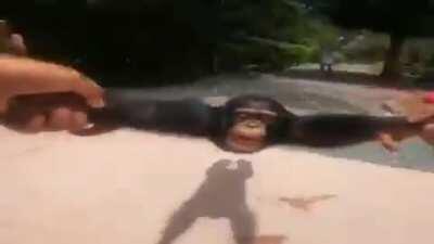 mono girando pero esta en buena calidad