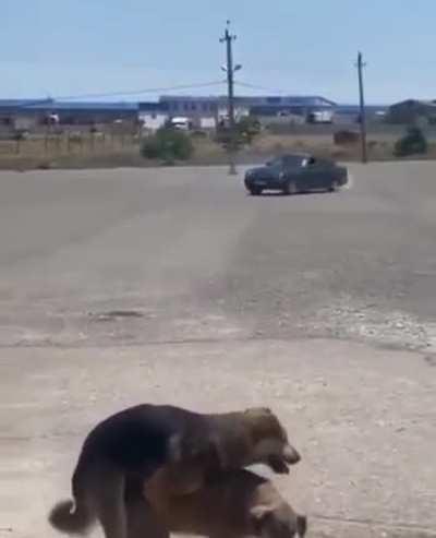 Красиво даёт угла