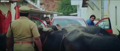 Peak Movie🛐🙏 Peak Azhinjattam⚡