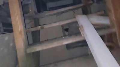 Yumped the loat By PoopMadness (This Guy is a Real Talent)