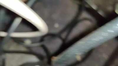 Nice warm spot for reproducing.....