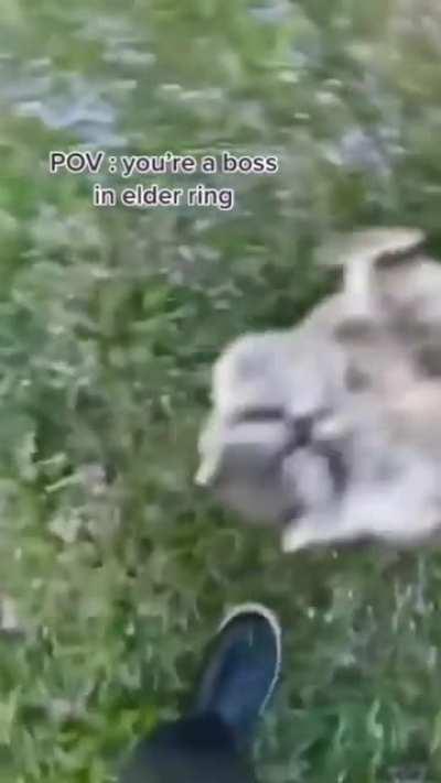 I can already hear Felix laugh, if he sees this Lmao