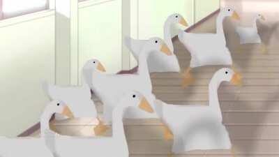 You've been Rickrolled