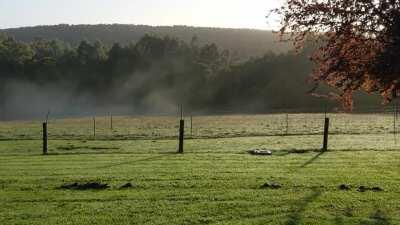 Morning mist evaporating, Calder, NW Tasmania.