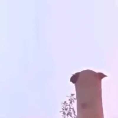 Every time I'm in the street I hear