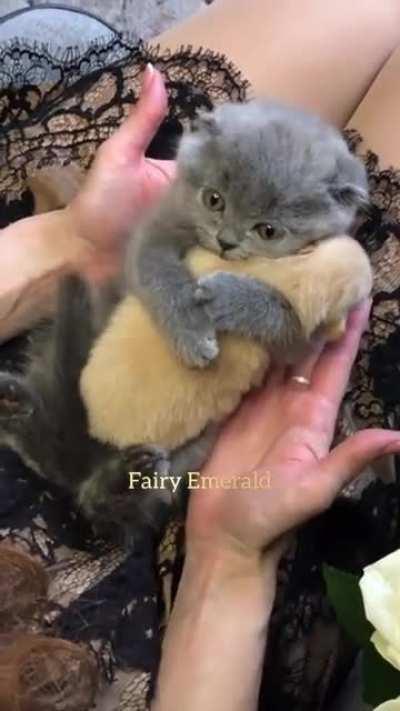 Милоту вам в утро