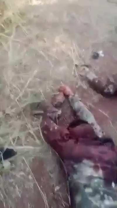 The Mali branch of Al-Qaeda has destroyed a group of former Wagner members.